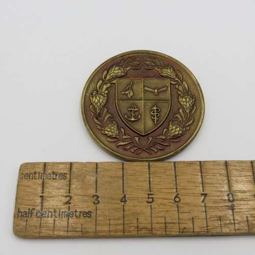 SA Defence Force Sport division medallion