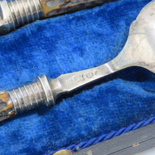 Antique Jam Spoon and butter knife set in case by Francis Howard