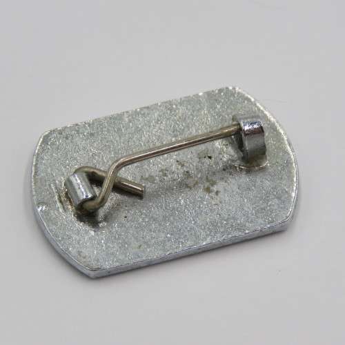 German SS pin badge