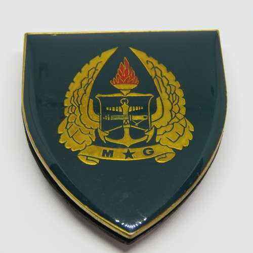 SADF Military Gymnasium shoulder flash
