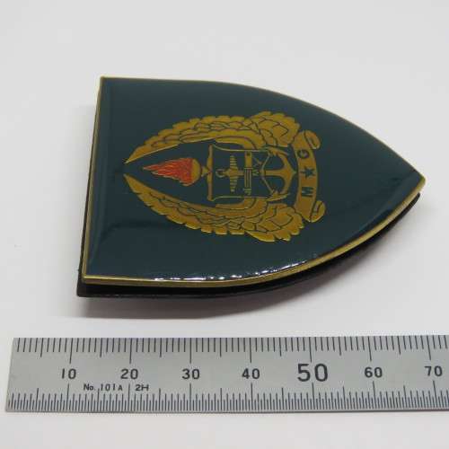 SADF Military Gymnasium shoulder flash
