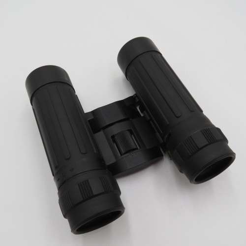 Tasco 10 x 25 binoculars in pouch - Used
