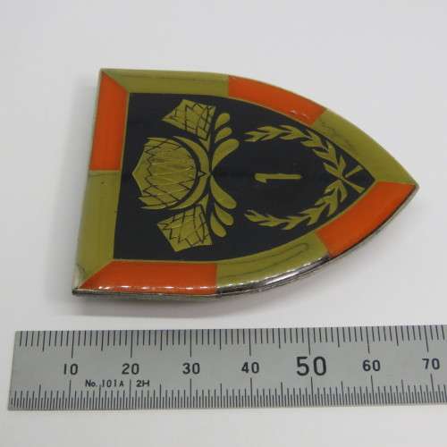 SADF 1 Special Service battalion (1SSB) shoulder flash