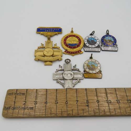 Lot of SA Life saving medals