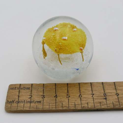 Vintage Lampwork handmade glass paperweight