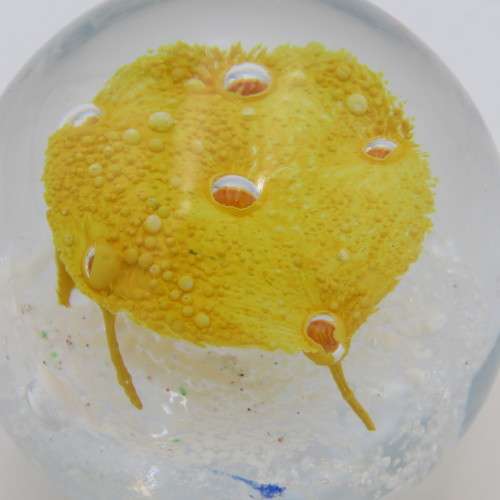 Vintage Lampwork handmade glass paperweight