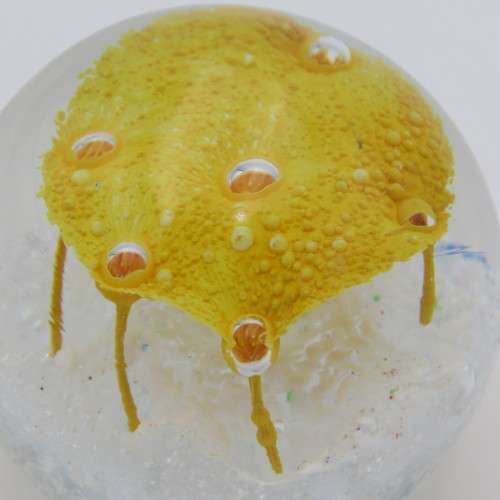 Vintage Lampwork handmade glass paperweight