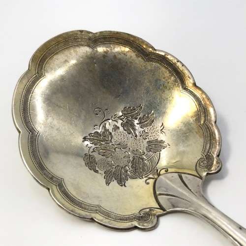 Bone handle 800 silver serving spoon