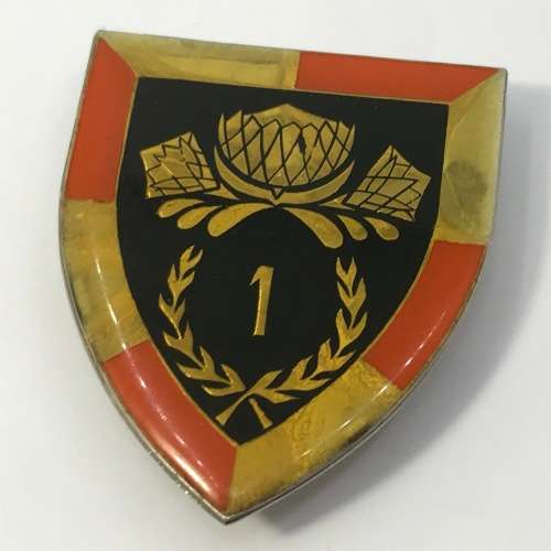 SADF 1 Special service battalion (1 SSB) shoulder flash