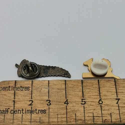 SA Rugby and New Zealand rugby pin badges