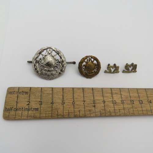 Lot of SADF Regiment Western Province badges and SA titles