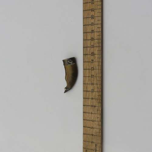 Vintage lion claw and silver brooch