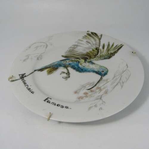 Hand painted Malachite Sunbird on Sri Lanka plate