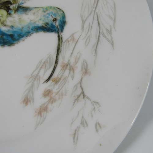 Hand painted Malachite Sunbird on Sri Lanka plate