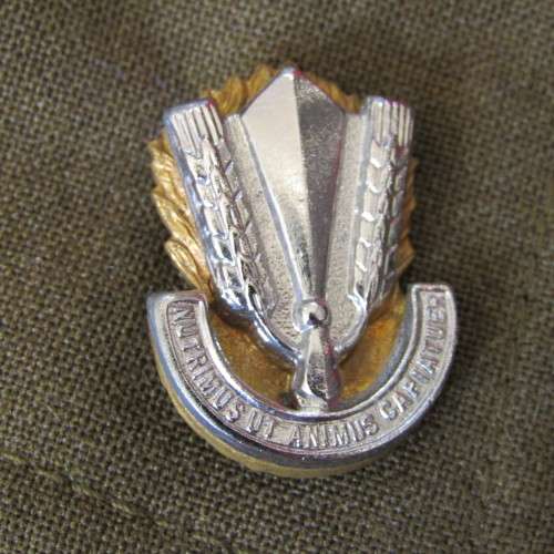 SADF Catering Corps Lieutenant step out tunic