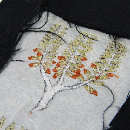 Vintage Noord-Wes Kaap Rugby badge