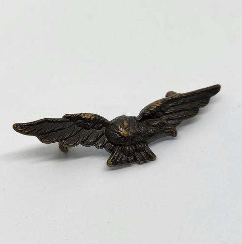 Royal Air Force eagle badge