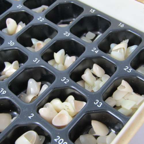 Vintage Dorecta dentist ctown teeth set in case