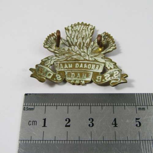 SADF Special Services Battalion cap badge