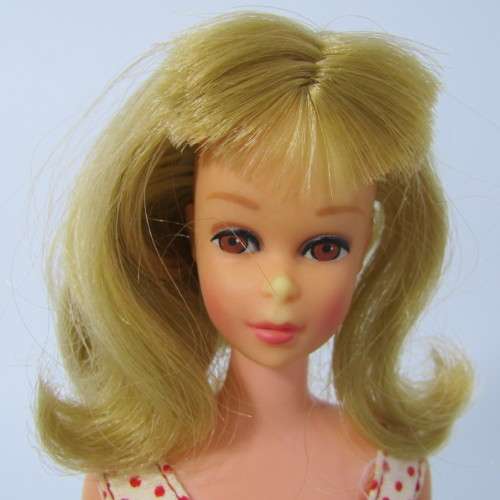 1966 Barbie series - Francie Straight leg doll - marked 1965 Mattel - in original box