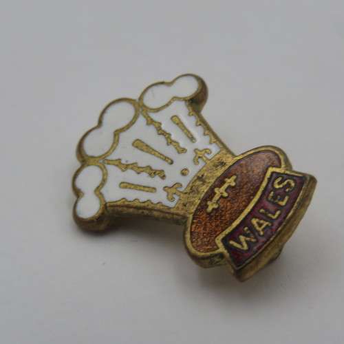 Wales Rugby pin badge