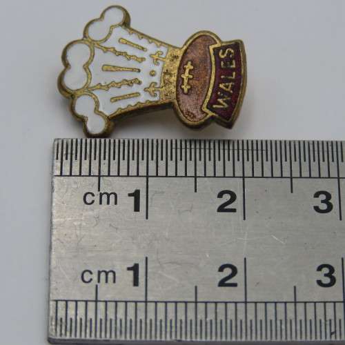 Wales Rugby pin badge