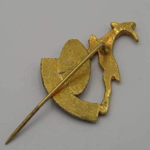 Suid Afrika Rugby stick pin badge