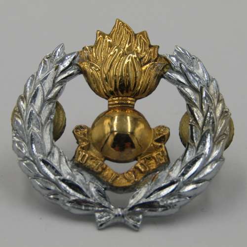 SADF Engineer corps cap badge