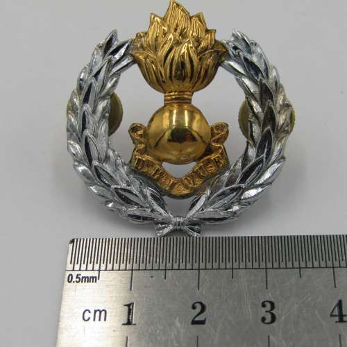 SADF Engineer corps cap badge