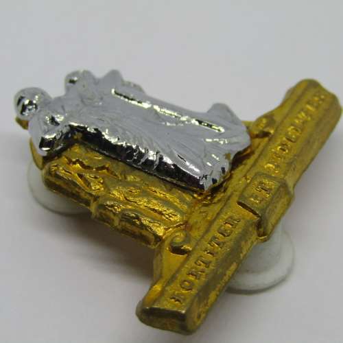 SADF Cape Corps collar badge