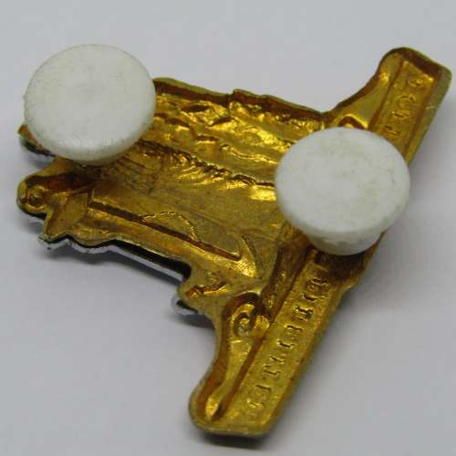 SADF Cape Corps collar badge