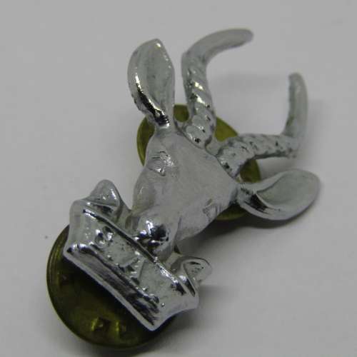 Pair of SA Infantry collar badges