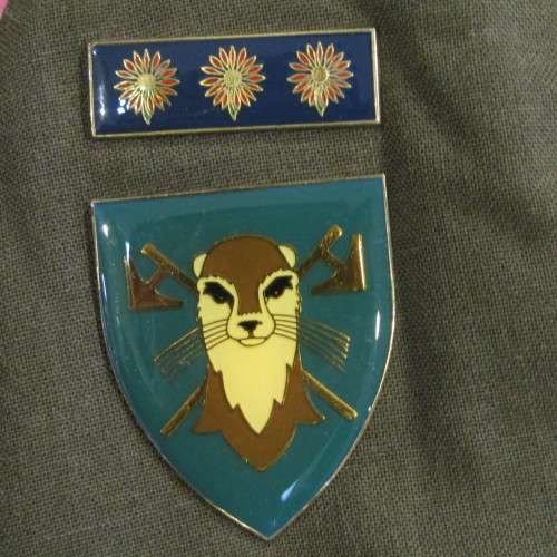 SADF 115 battalion Captain tunic with flashes and affiliation bars