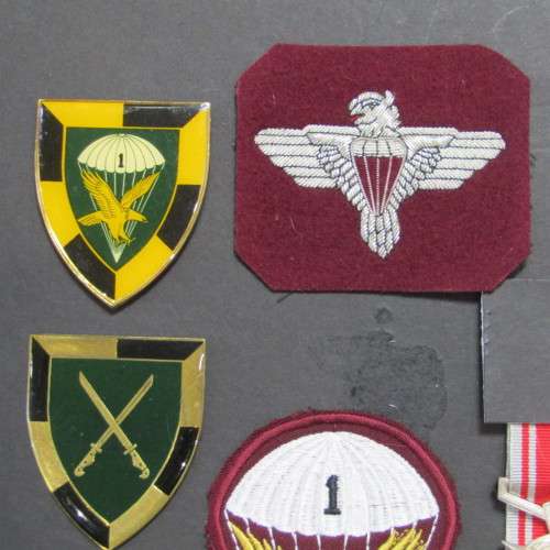 SADF Border War Medal and badges display of Paratrooper Van der Merwe