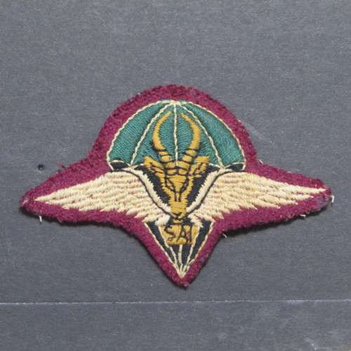 SADF Border War Medal and badges display of Paratrooper Van der Merwe