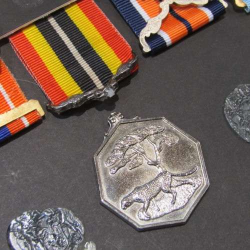 SADF Border War Medal and badges display of Paratrooper Van der Merwe