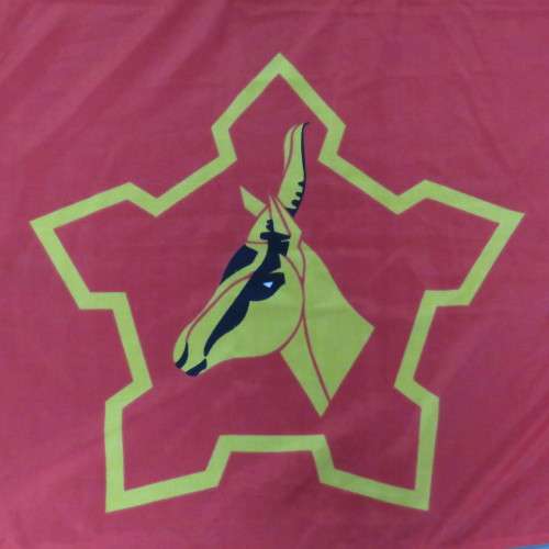 1996 South African Army Formation flag - 180 cm x 120 cm