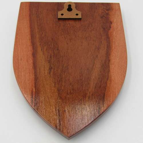 SA Air Force 17 Squadron plaque