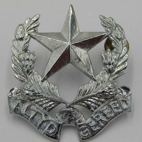 SADF regiment Botha chromed cap badge