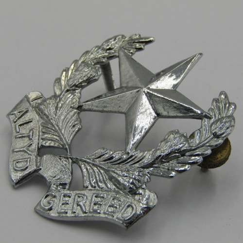 SADF regiment Botha chromed cap badge
