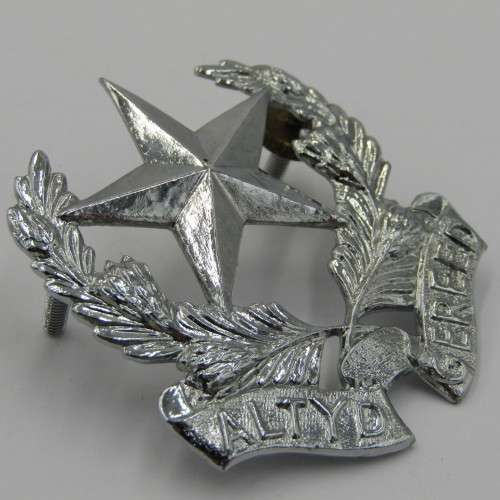 SADF regiment Botha chromed cap badge