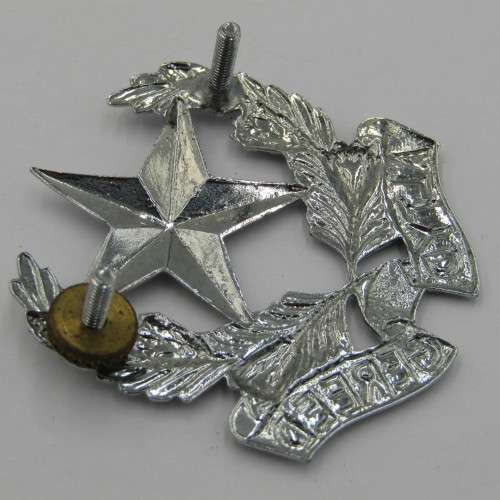 SADF regiment Botha chromed cap badge