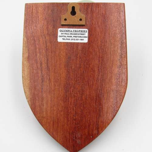 SA Air Force 17 Squadron plaque