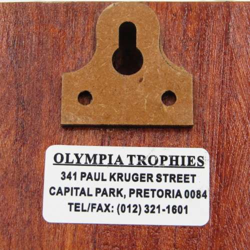 SA Air Force 17 Squadron plaque