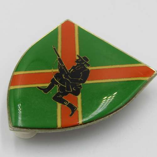 SADF Danie Theron combat school shoulder flash