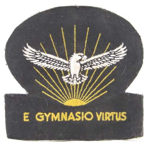 SA Air Force Gymnasium large cloth badge
