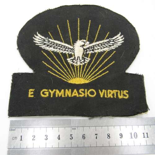 SA Air Force Gymnasium large cloth badge