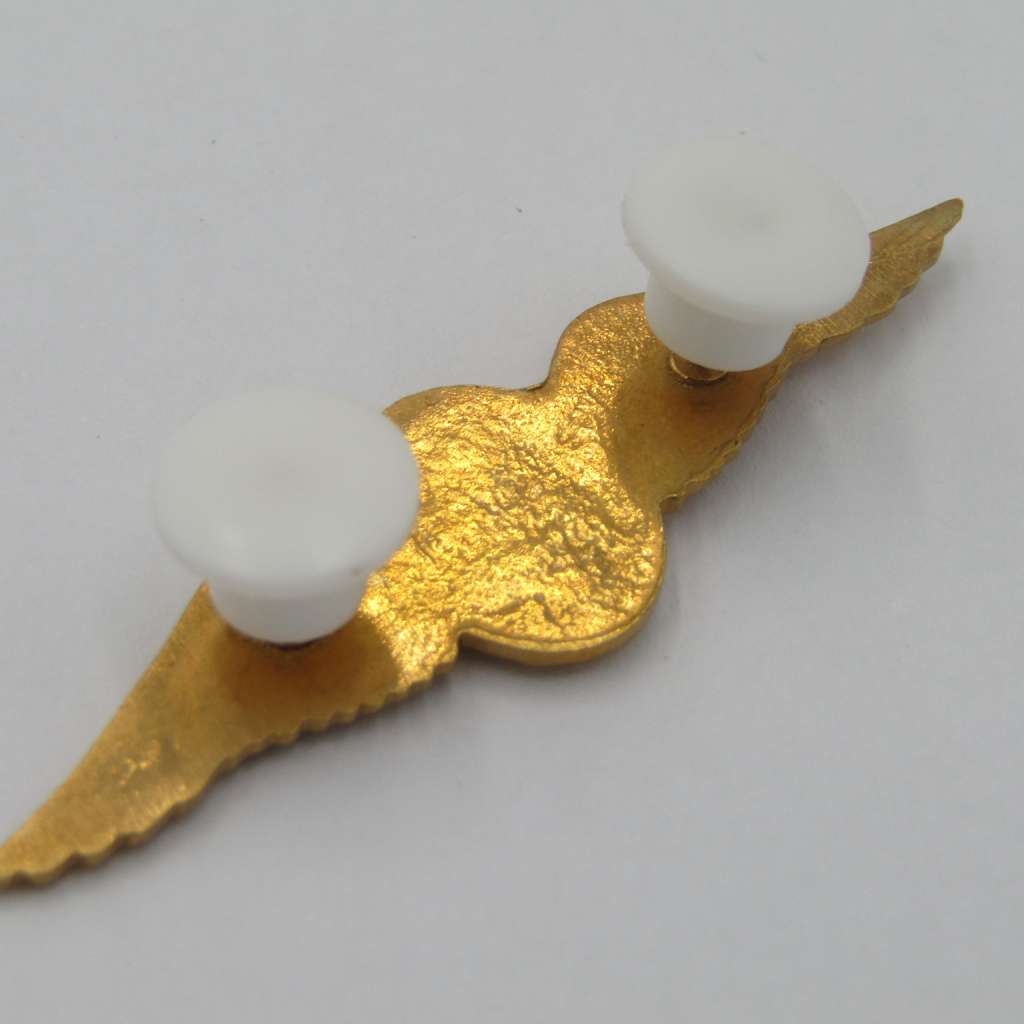 SA Air Force Pilots mess dress wing badge