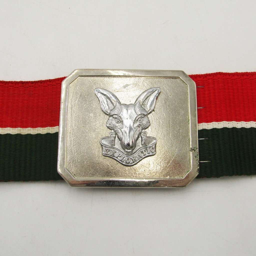 SA Intelligence Corps stable belt