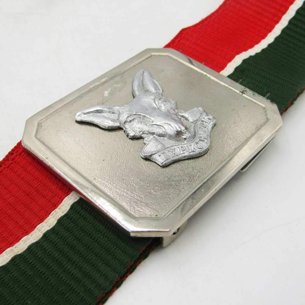SA Intelligence Corps stable belt